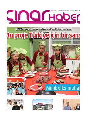 Çınar Haber 2013'e ulaşmak için tıklayınız.