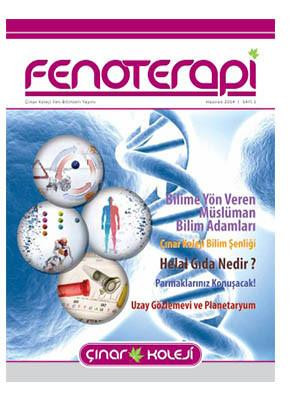 Fenoterapi Dergisi'ne ulaşmak  için tıklayınız.