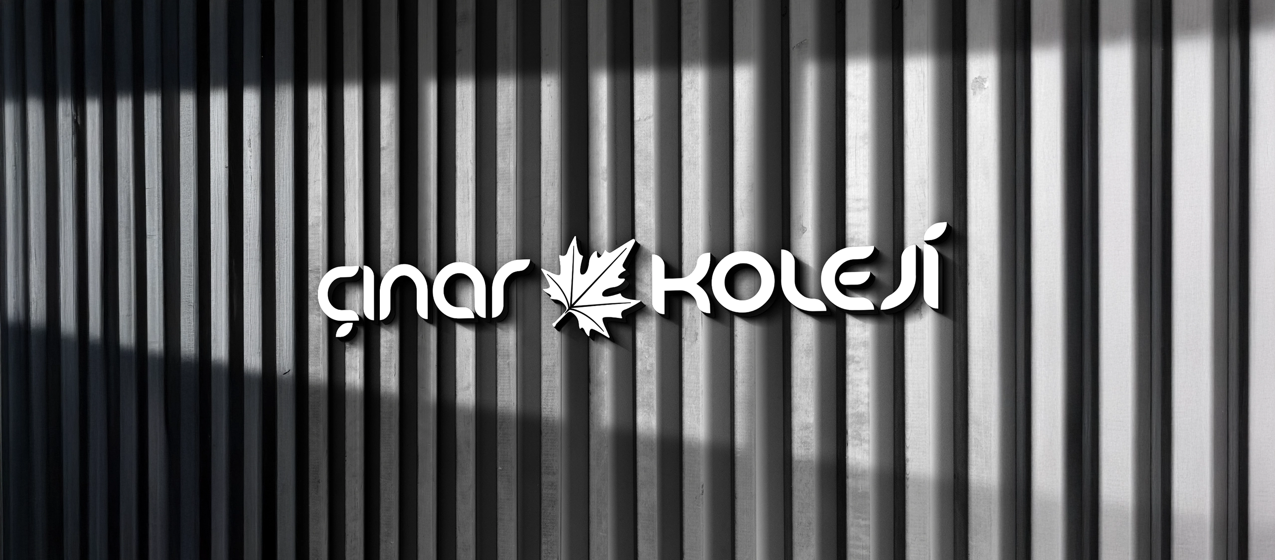 Çınar Koleji Kurumsal