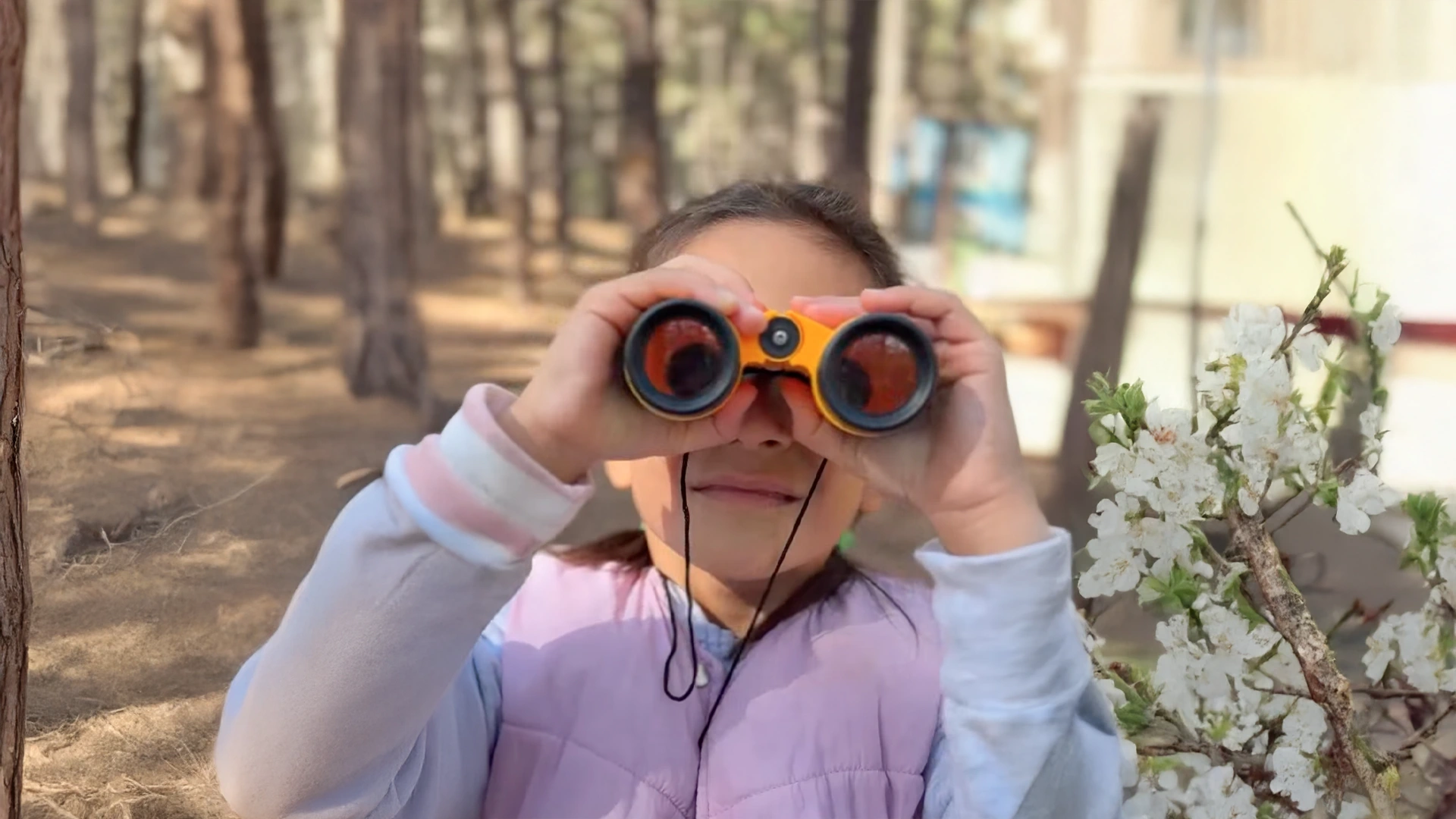 Çınar Koleji Minik Keşifçileri Şamlar Ormanı’nda Sonbaharın Renklerinde Doğa Temelli Öğrenme